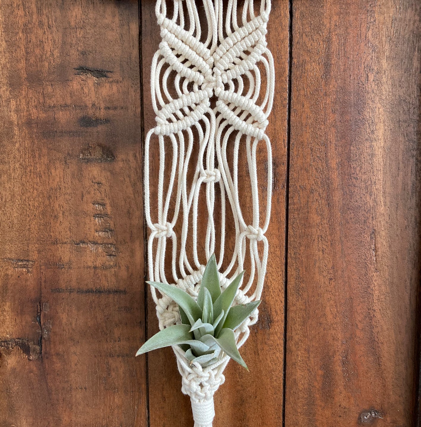 Butterfly in the air